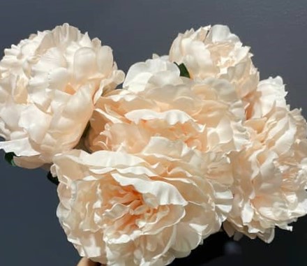 [BZRHD-3FRO60] 3F Rose 60/480