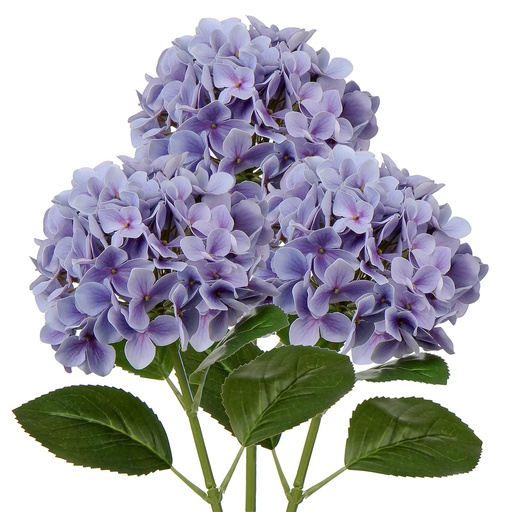 [BZRHD-HG0400] Hydrangeas 100/400