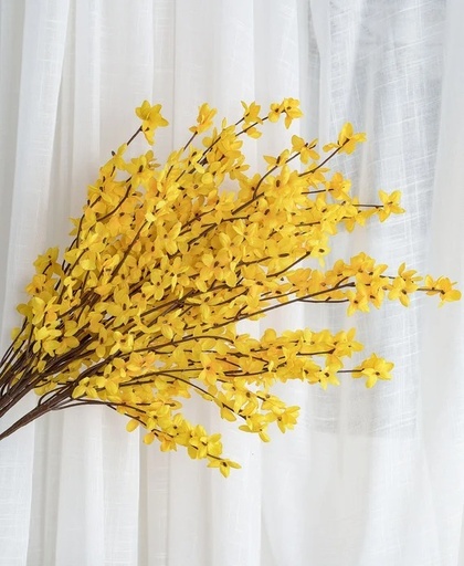 [BZRHD-WJ0800] Winter Jasmine/200/800