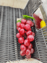 [BZRCS-223] Fake Fruit -- Grape (0479-1)